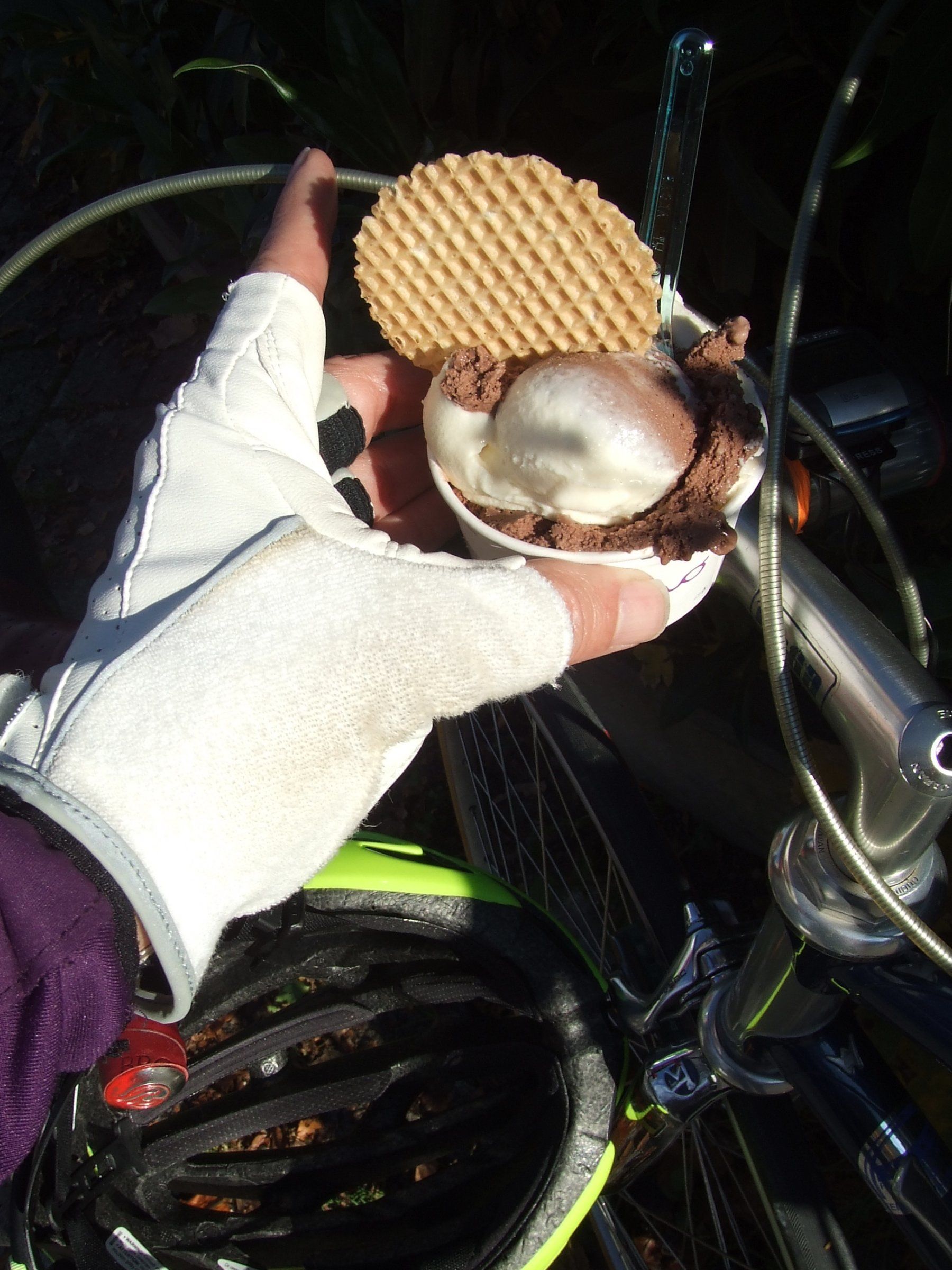 DSCF8272.JPG