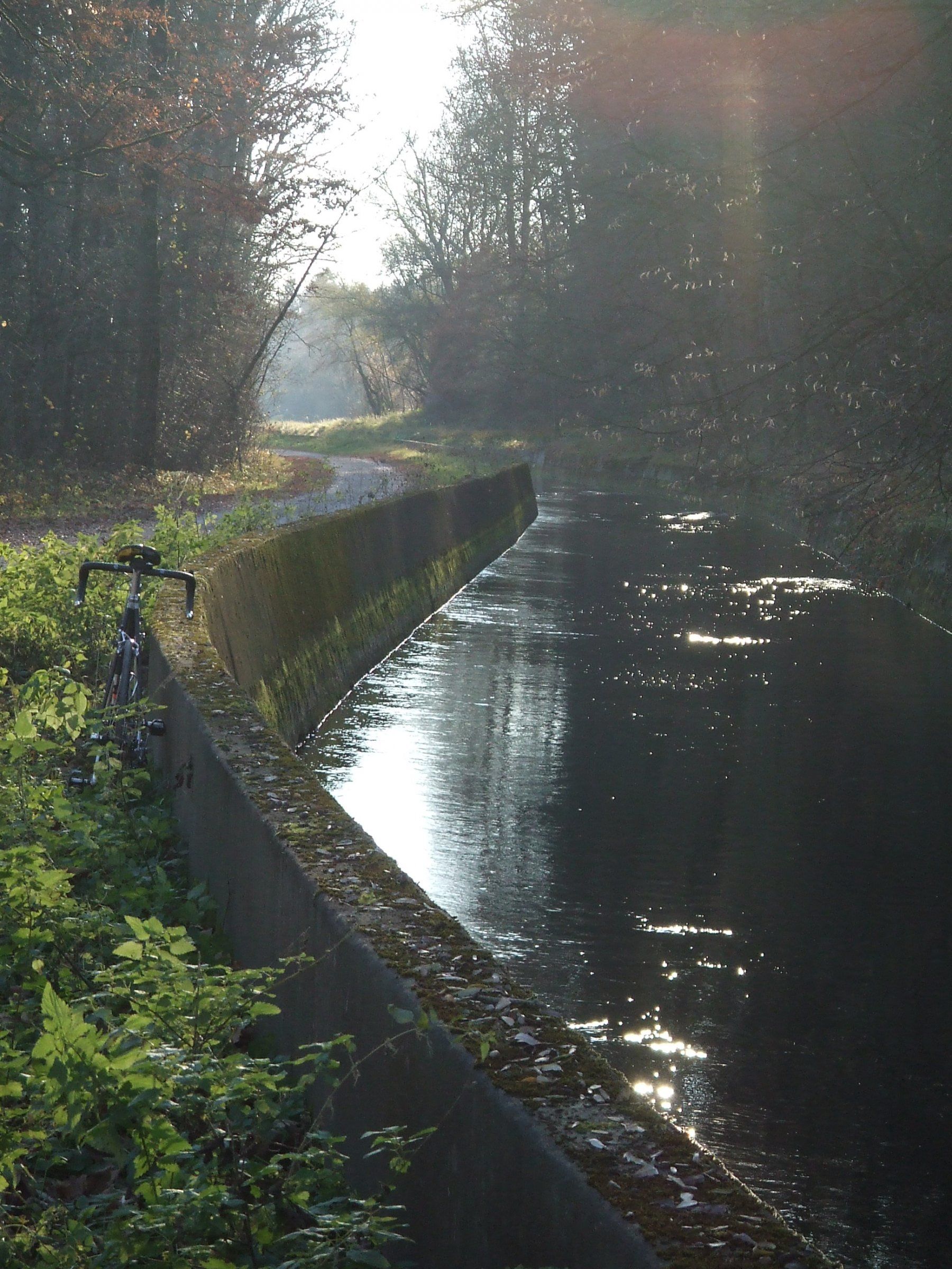 DSCF8287.JPG