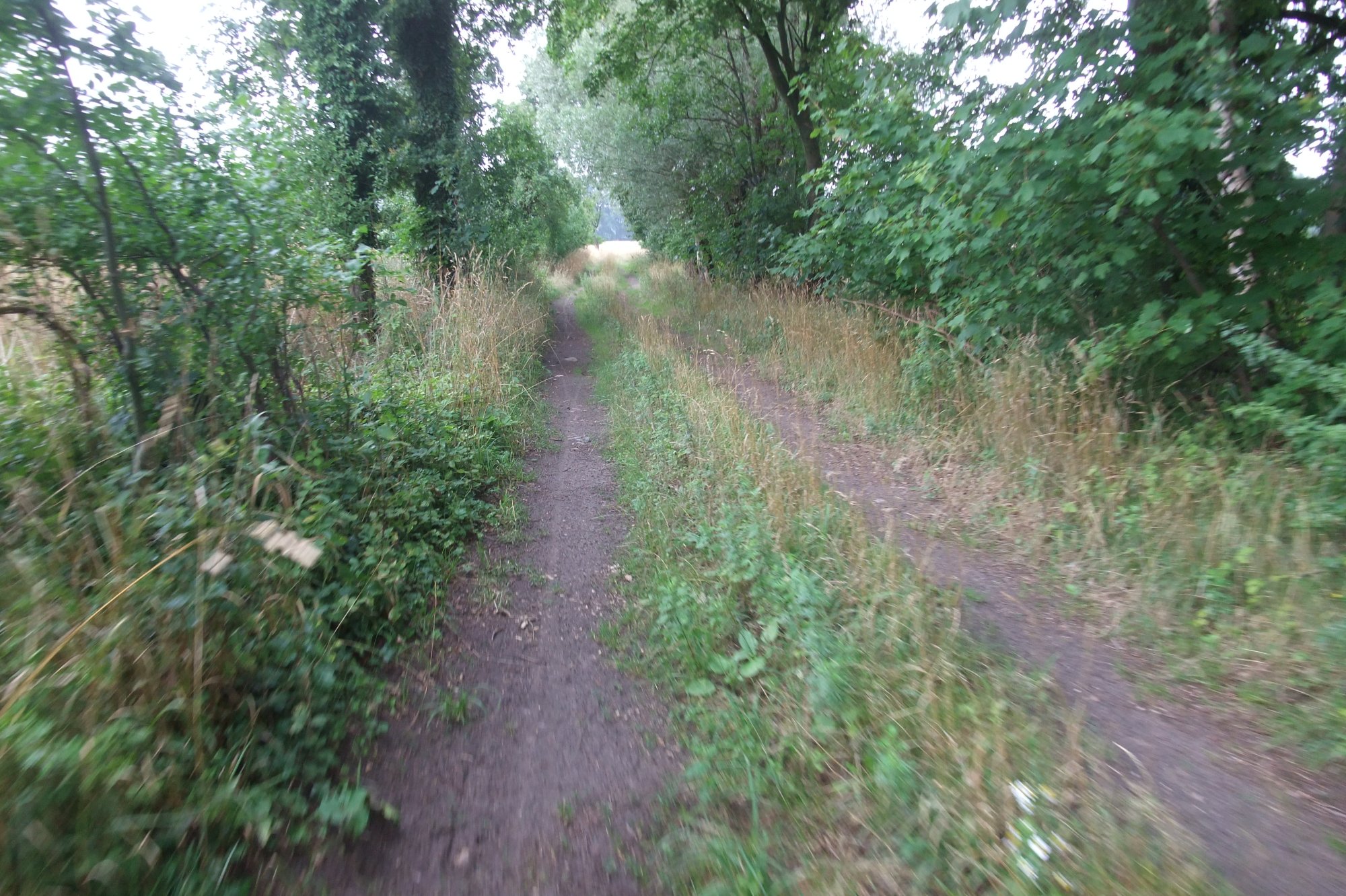 DSCF8291.JPG
