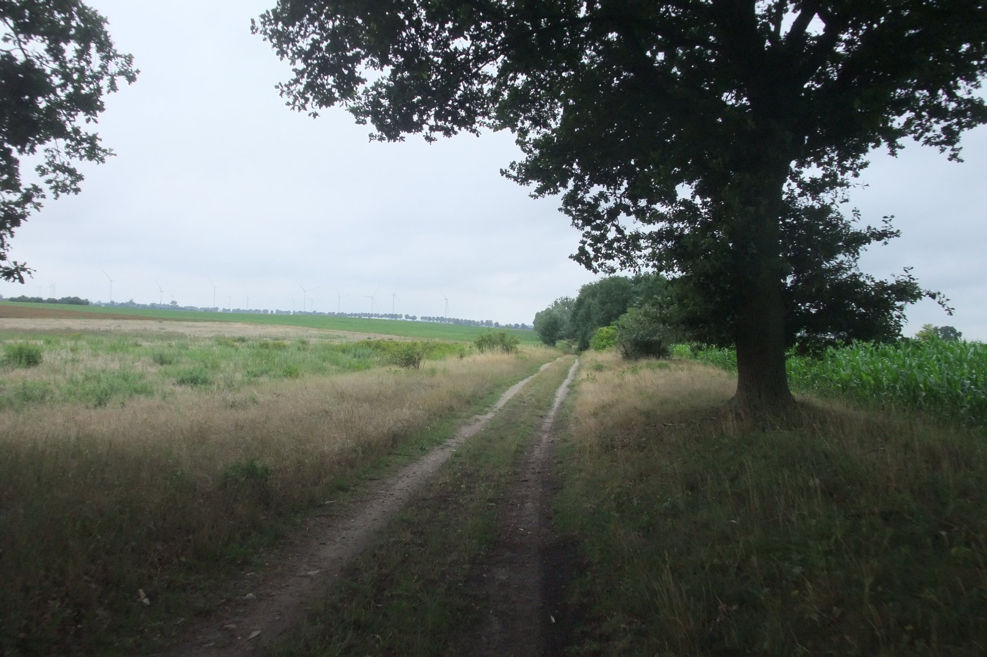 DSCF8293.JPG