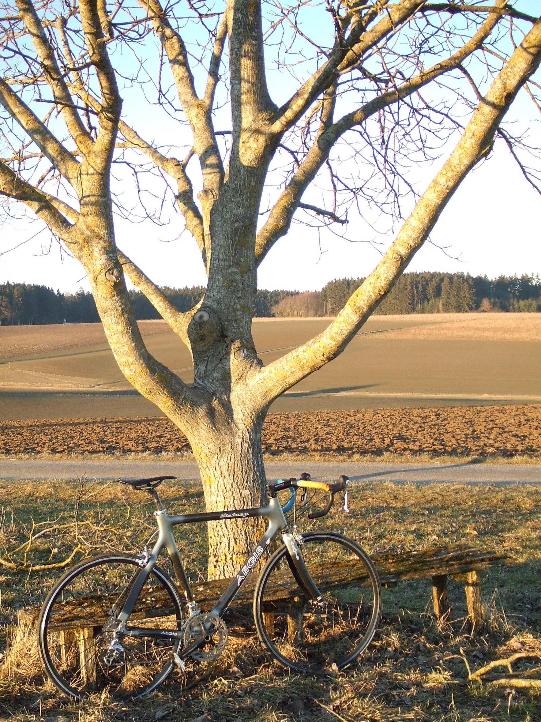 DSCF8371.JPG