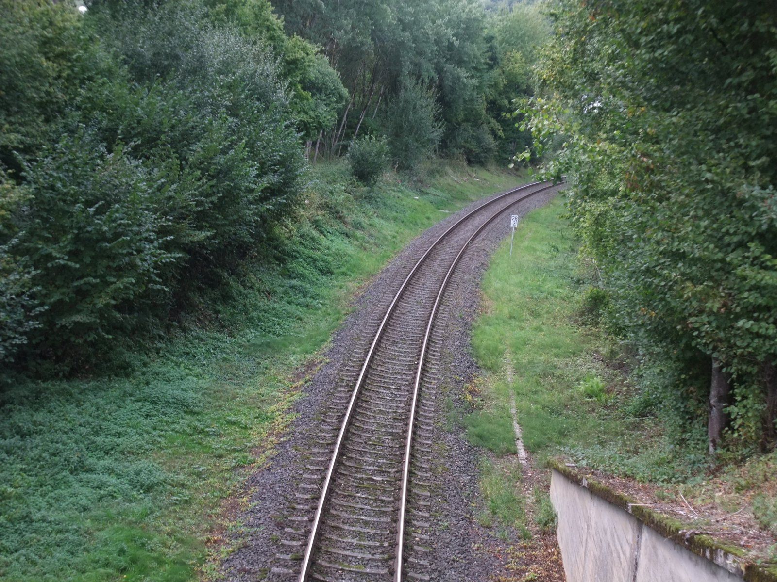 DSCF8398.JPG
