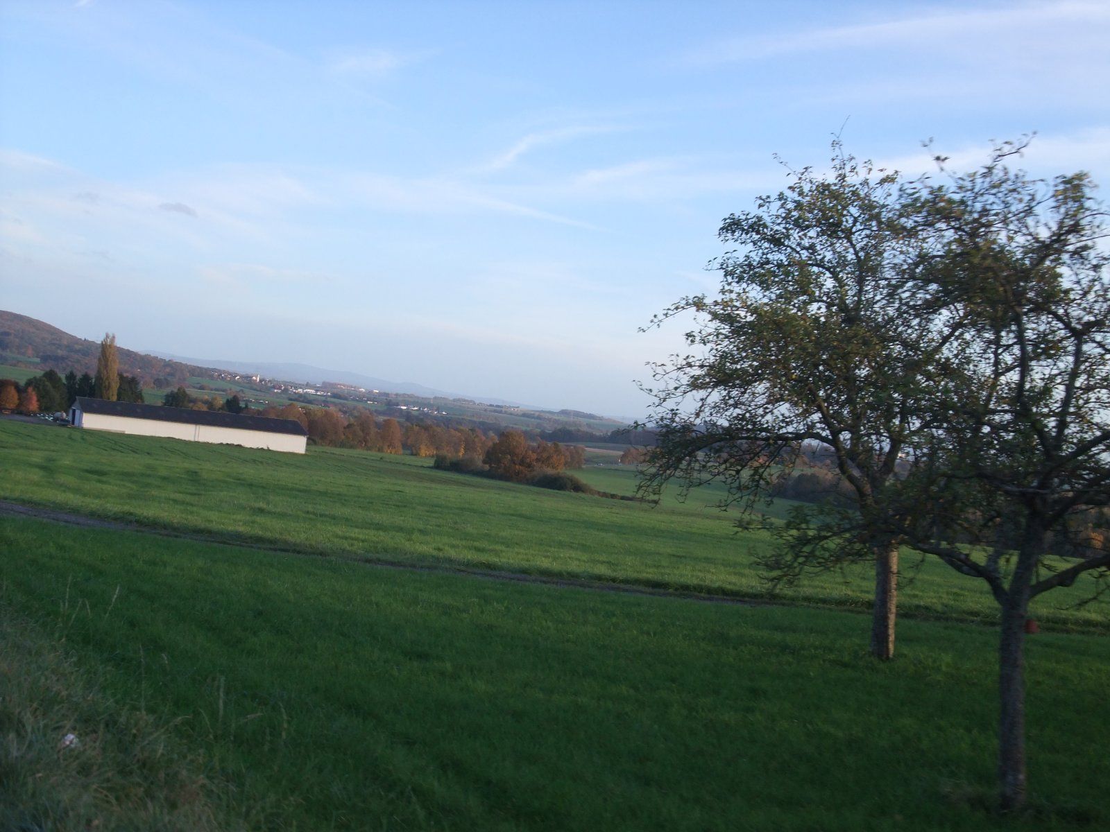 DSCF8442.JPG