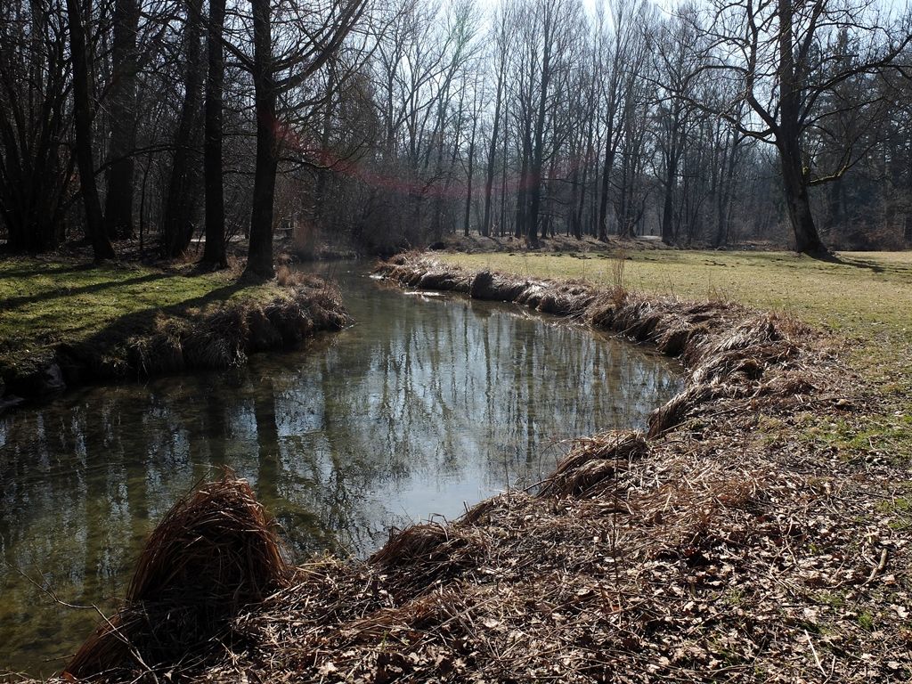 DSCF8469.JPG