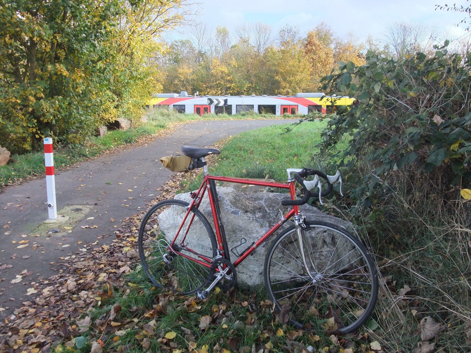 DSCF8514.JPG