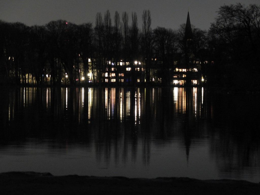 DSCF8528.jpg