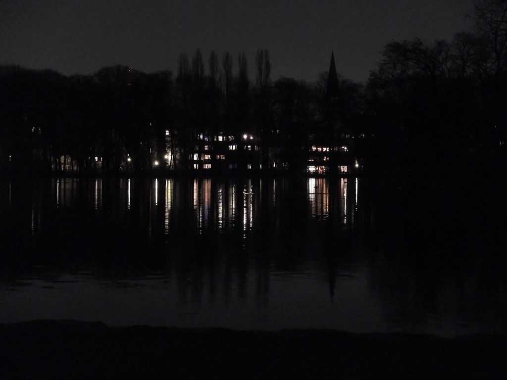 DSCF8529.jpg