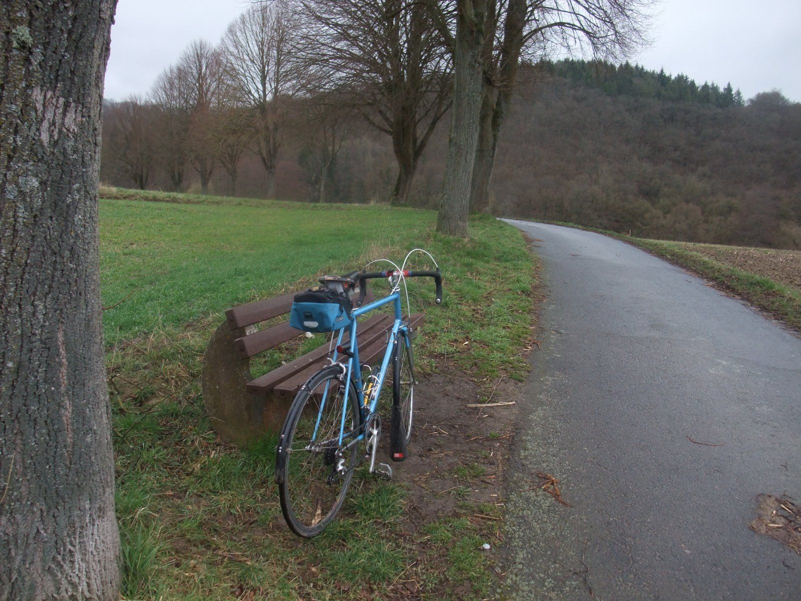 DSCF8558.JPG