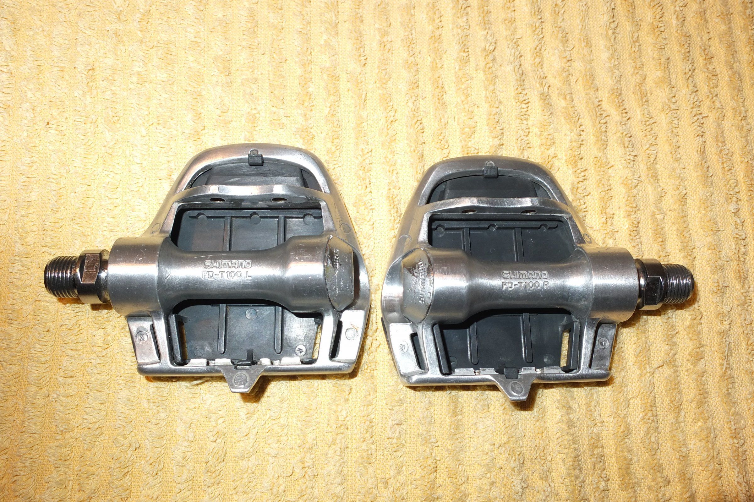 DSCF8559.JPG