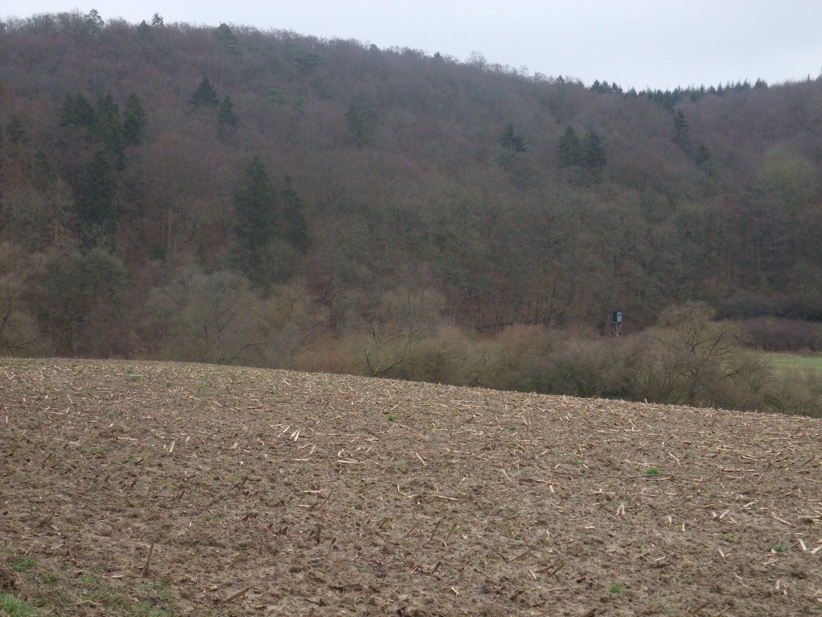 DSCF8559.JPG