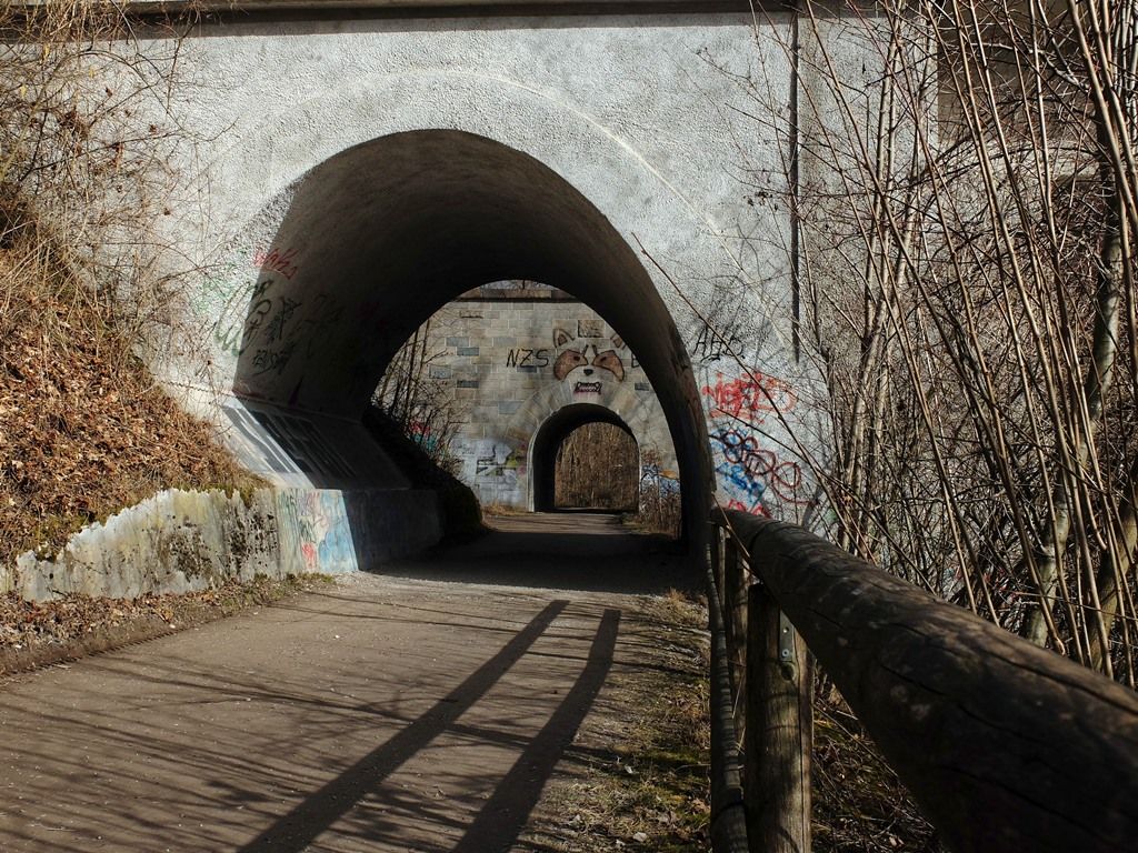 DSCF8562.jpg