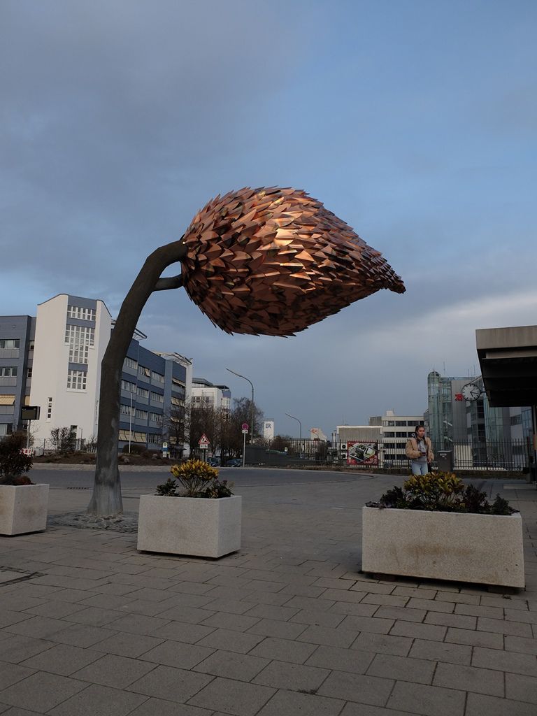 DSCF8574.JPG