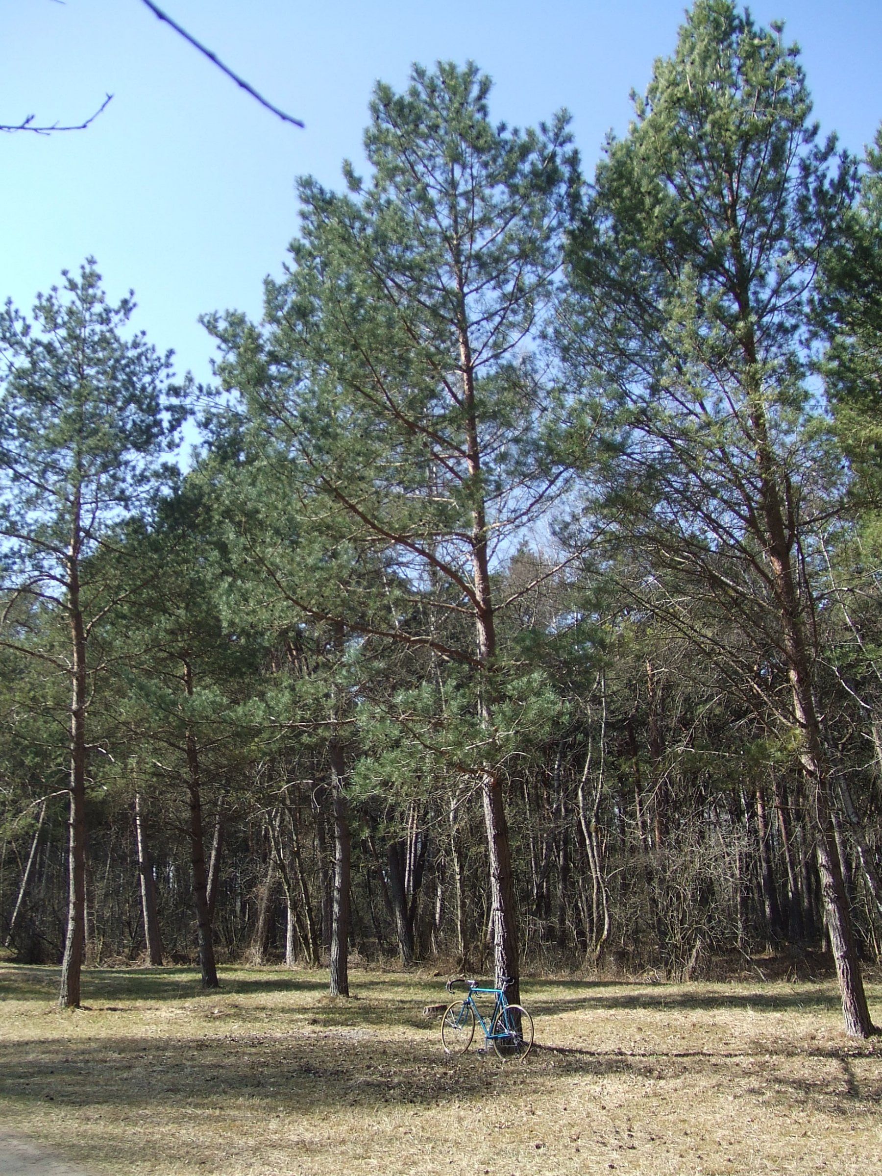 DSCF8587.JPG