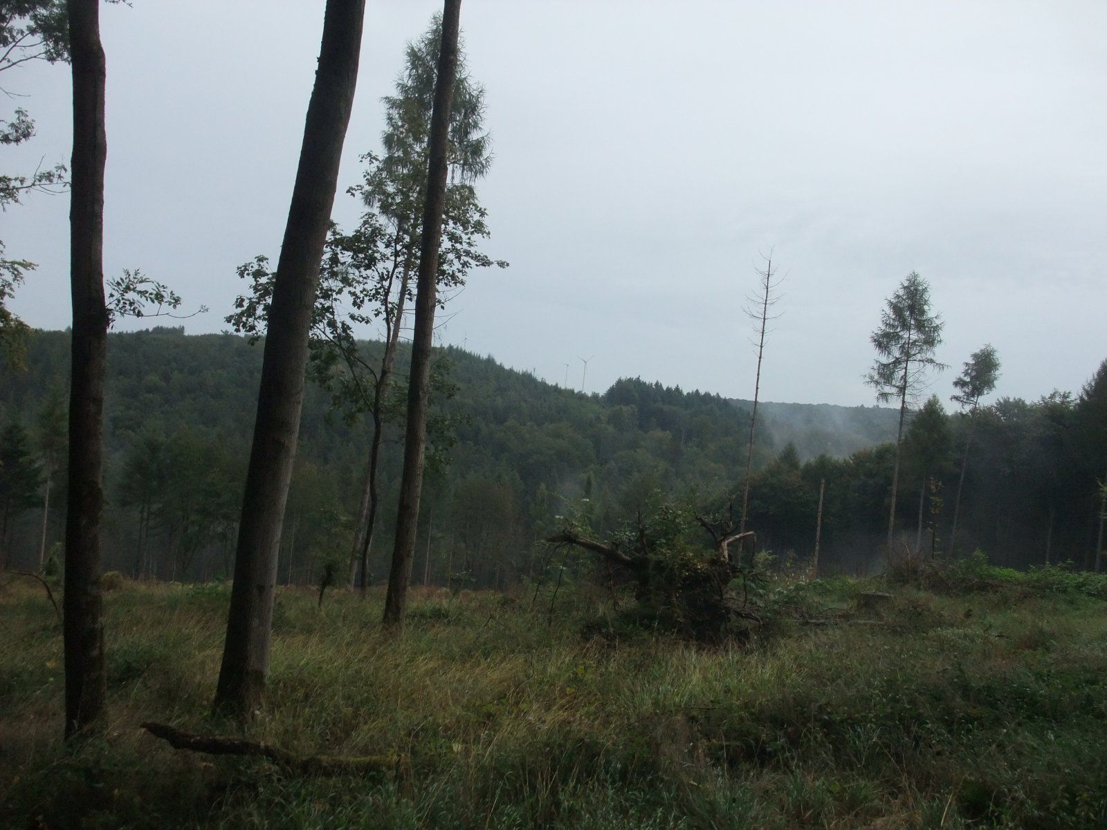 DSCF8628.JPG