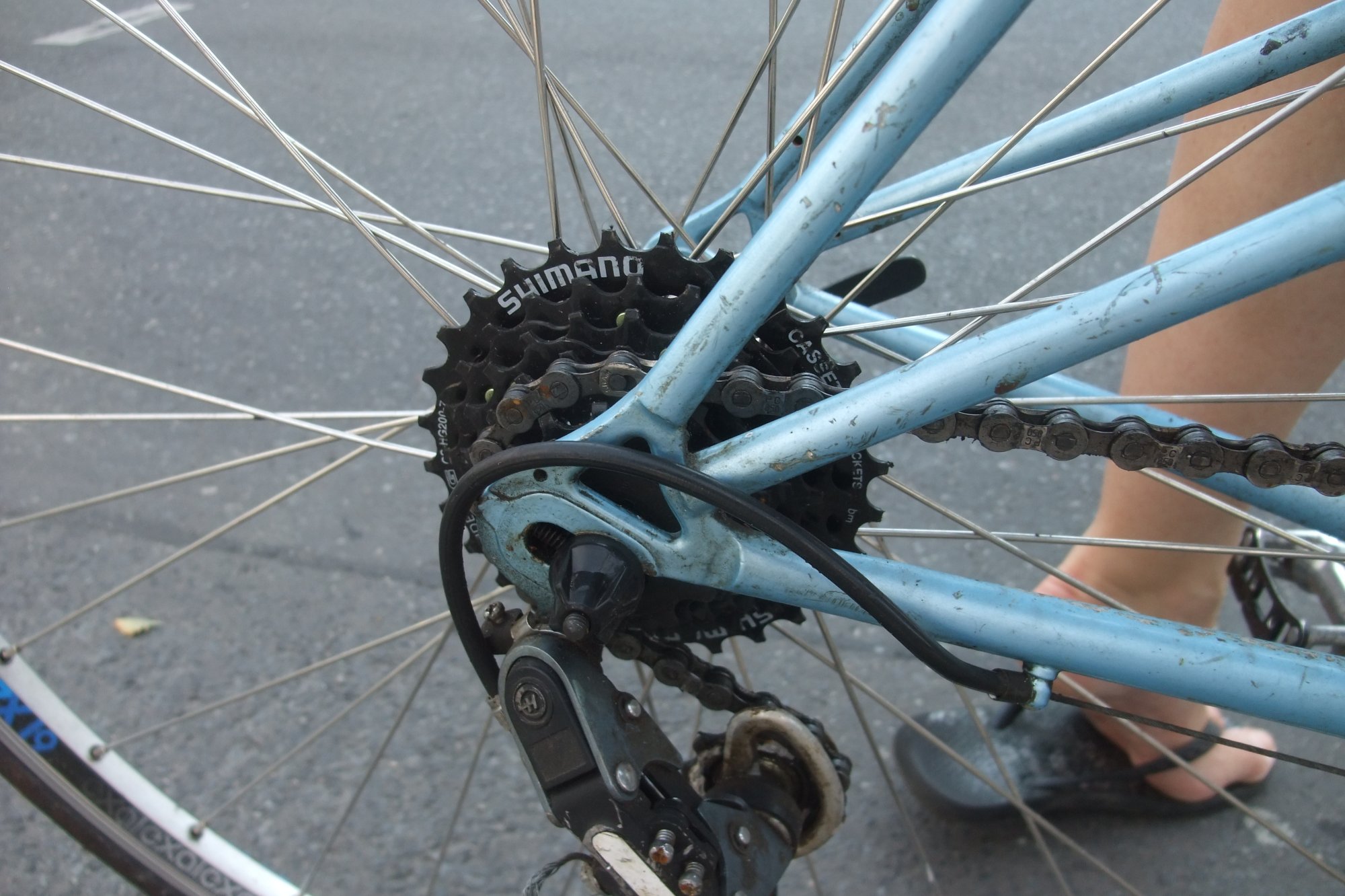DSCF8638.JPG