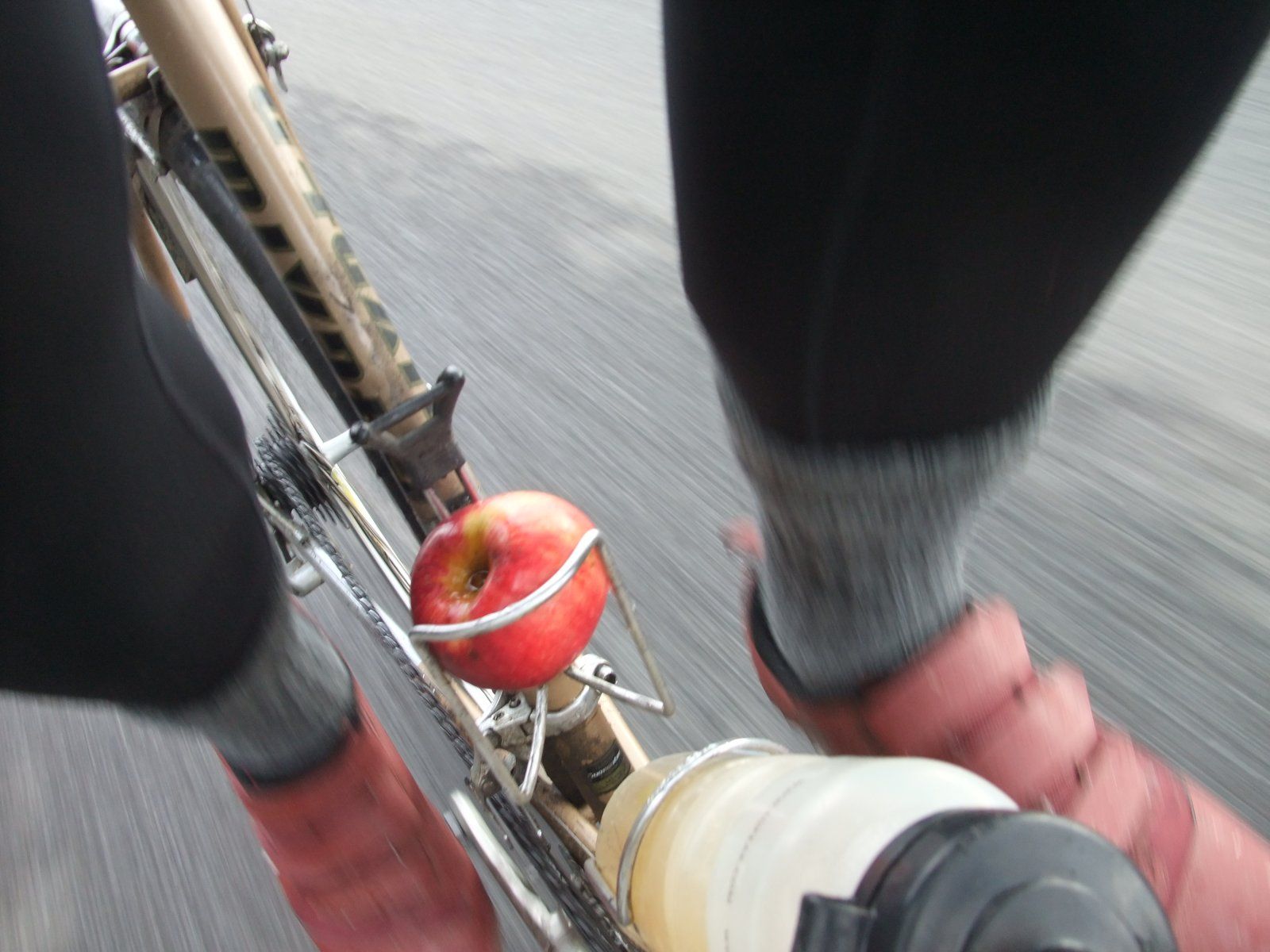 DSCF8643.JPG