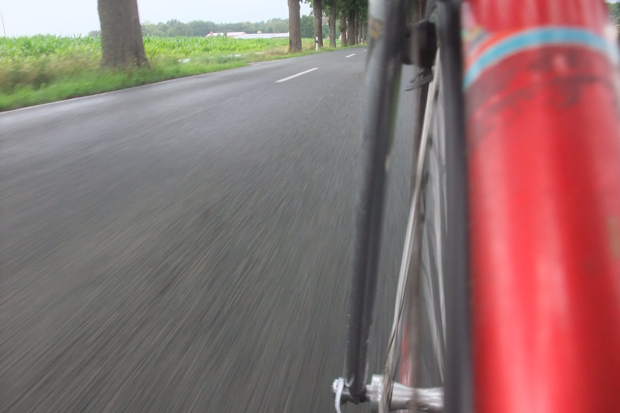 DSCF8749.JPG