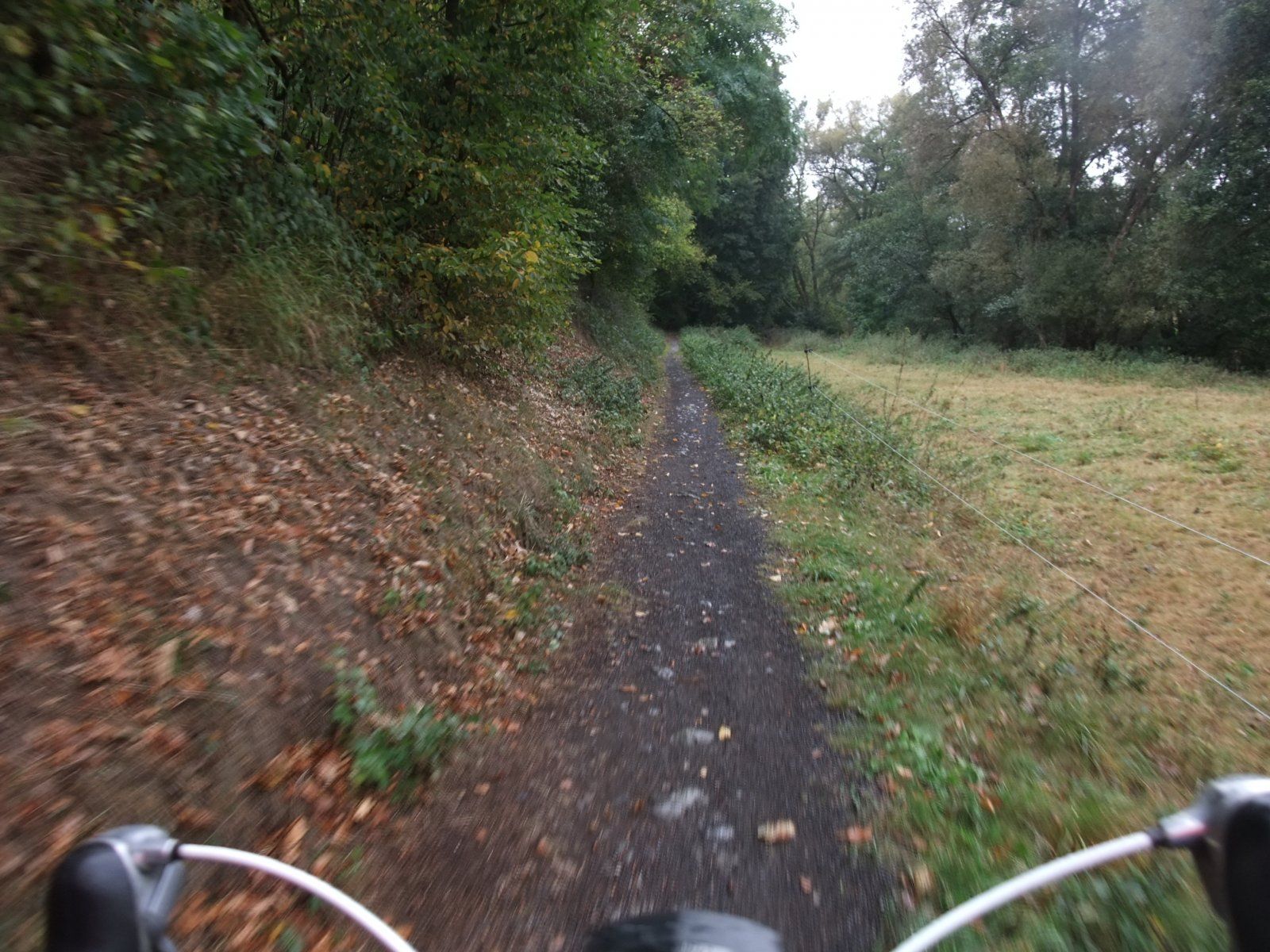 DSCF8813.JPG