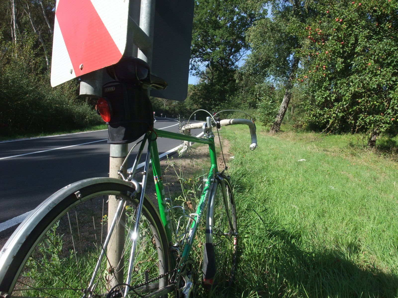 DSCF8858.JPG