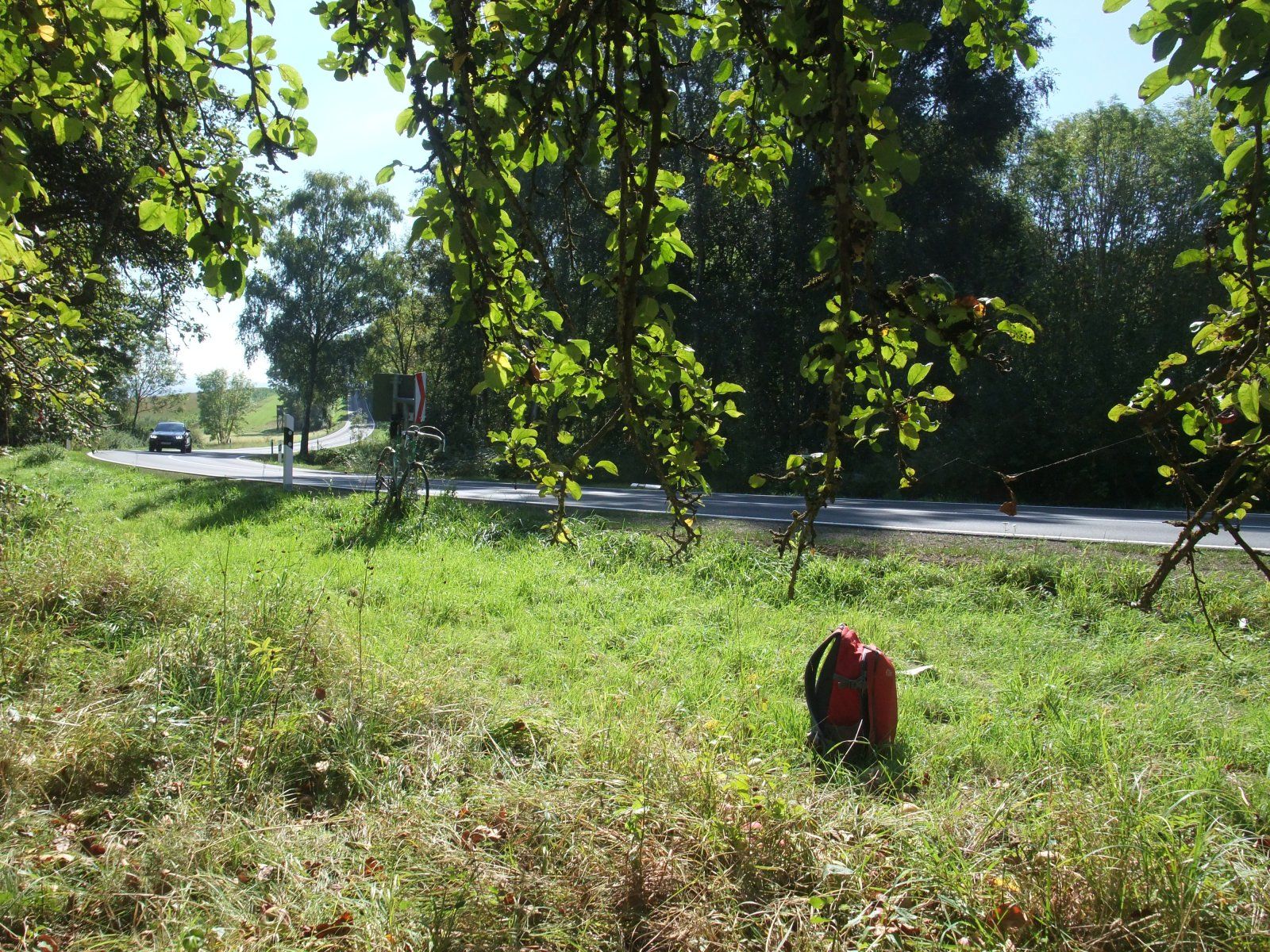 DSCF8860.JPG