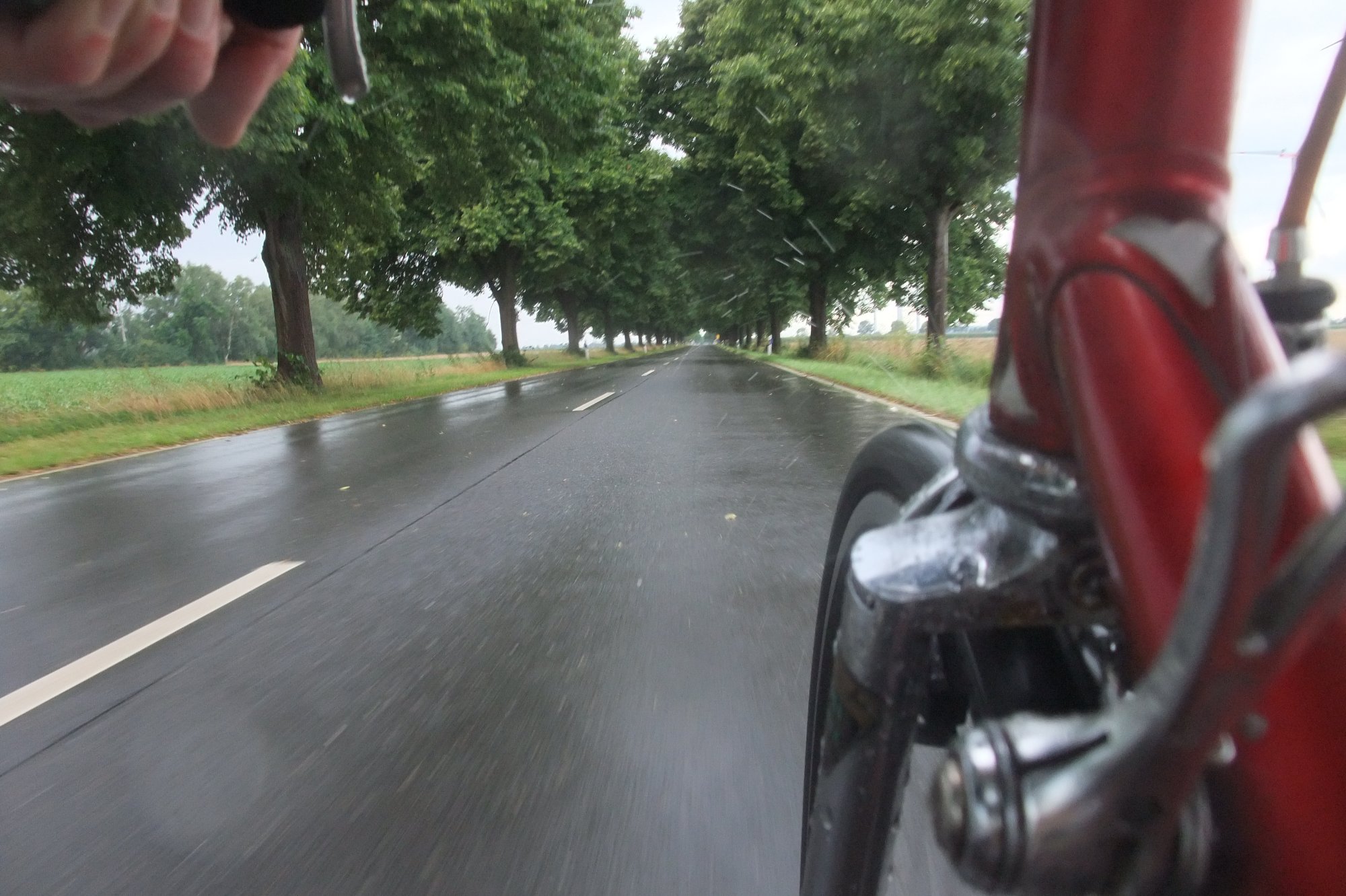 DSCF9029.JPG