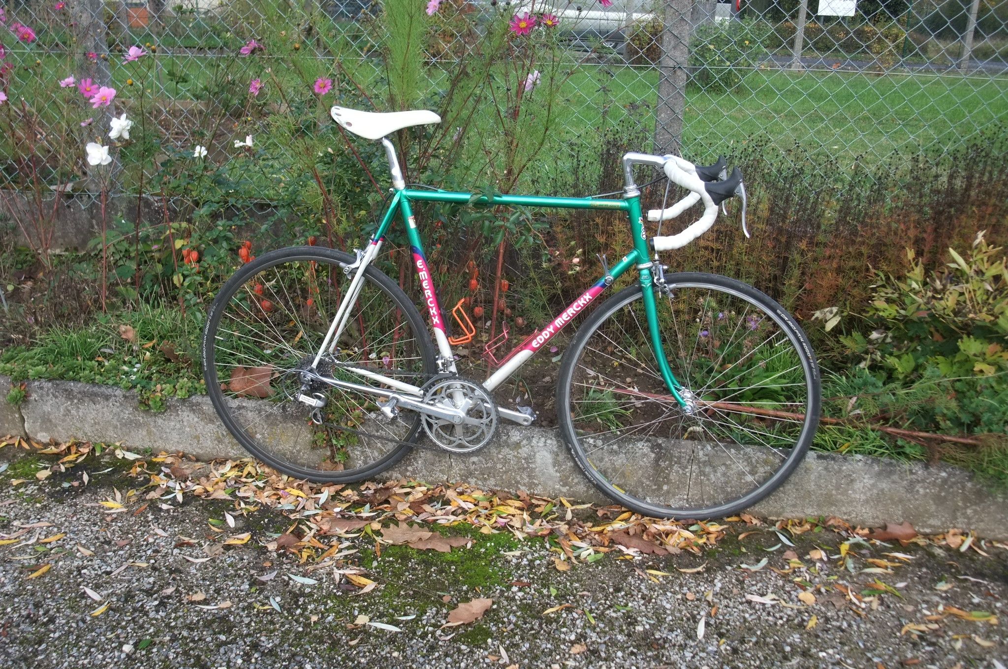 DSCF9182.JPG