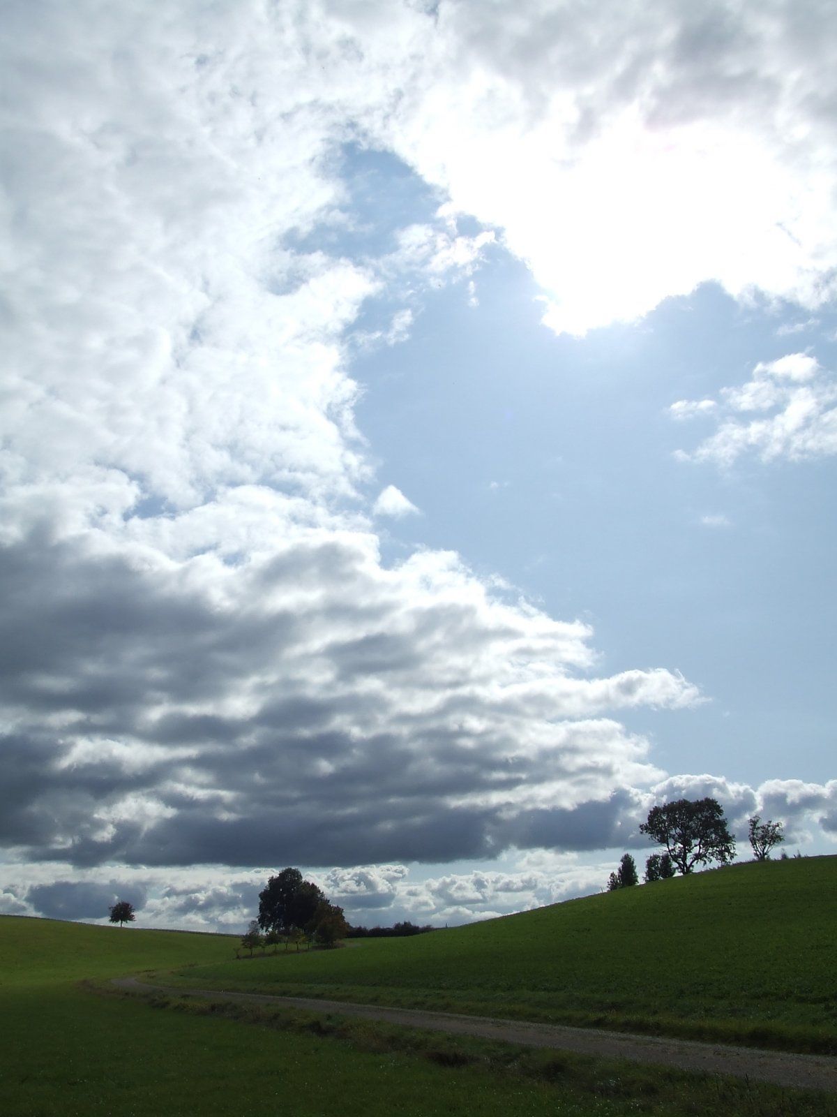 DSCF9224.JPG
