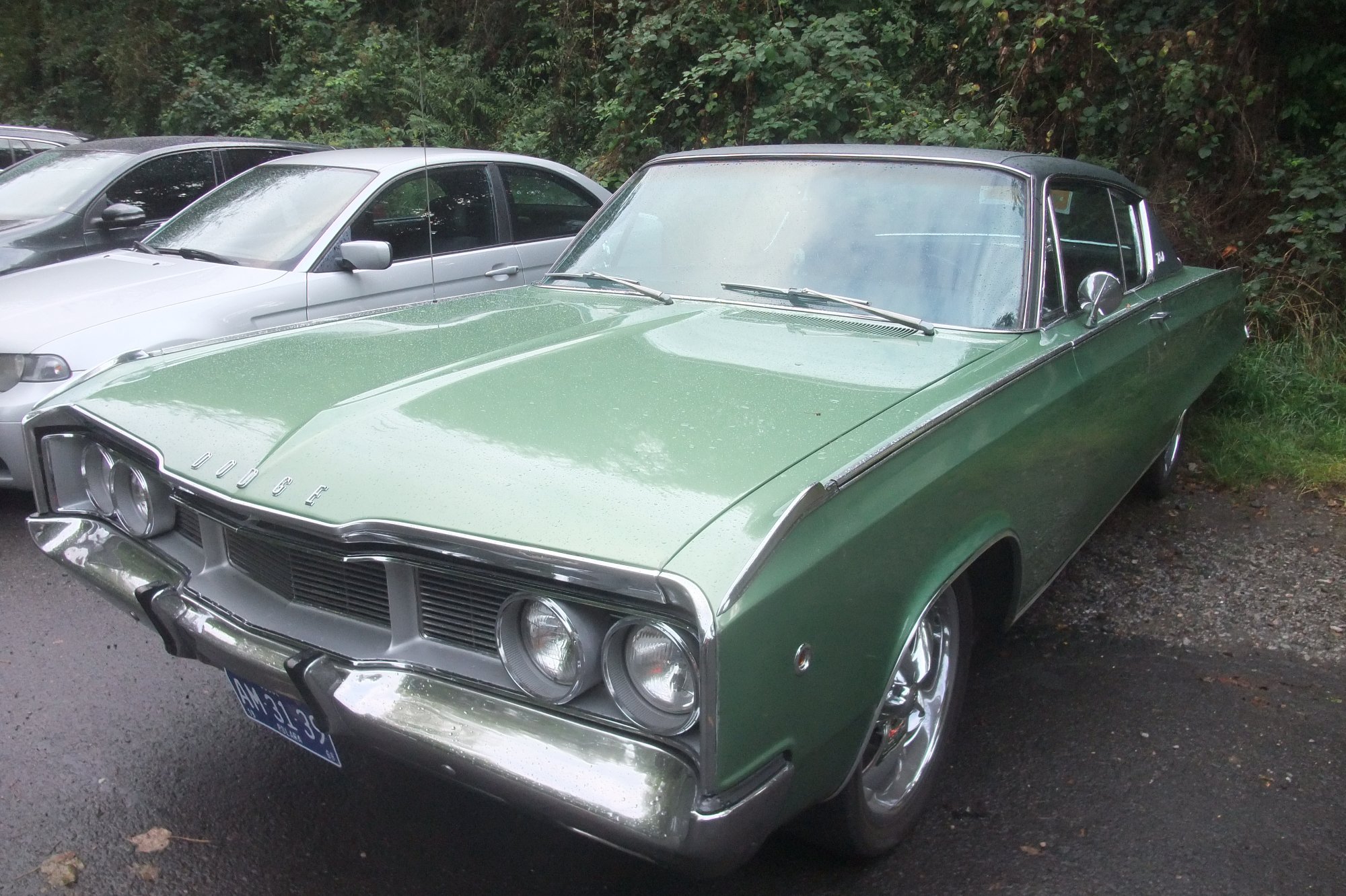 DSCF9312.JPG