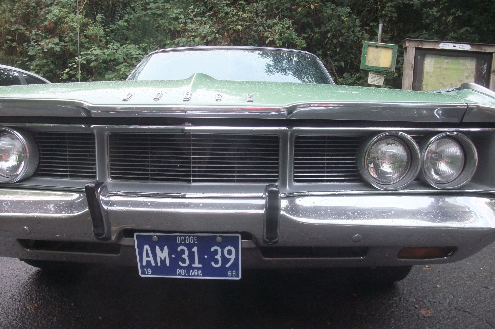 DSCF9313.JPG