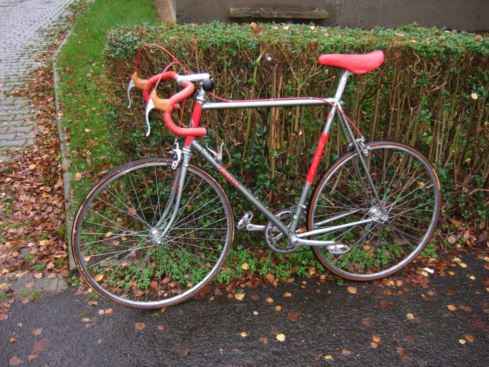 DSCF9337.JPG