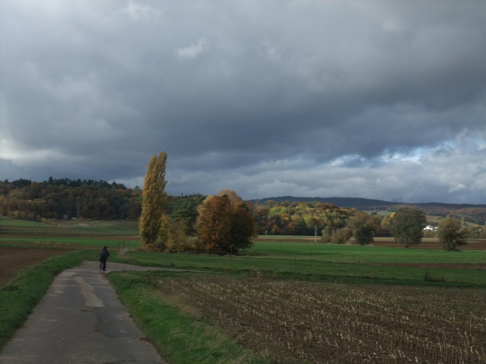 DSCF9398.JPG