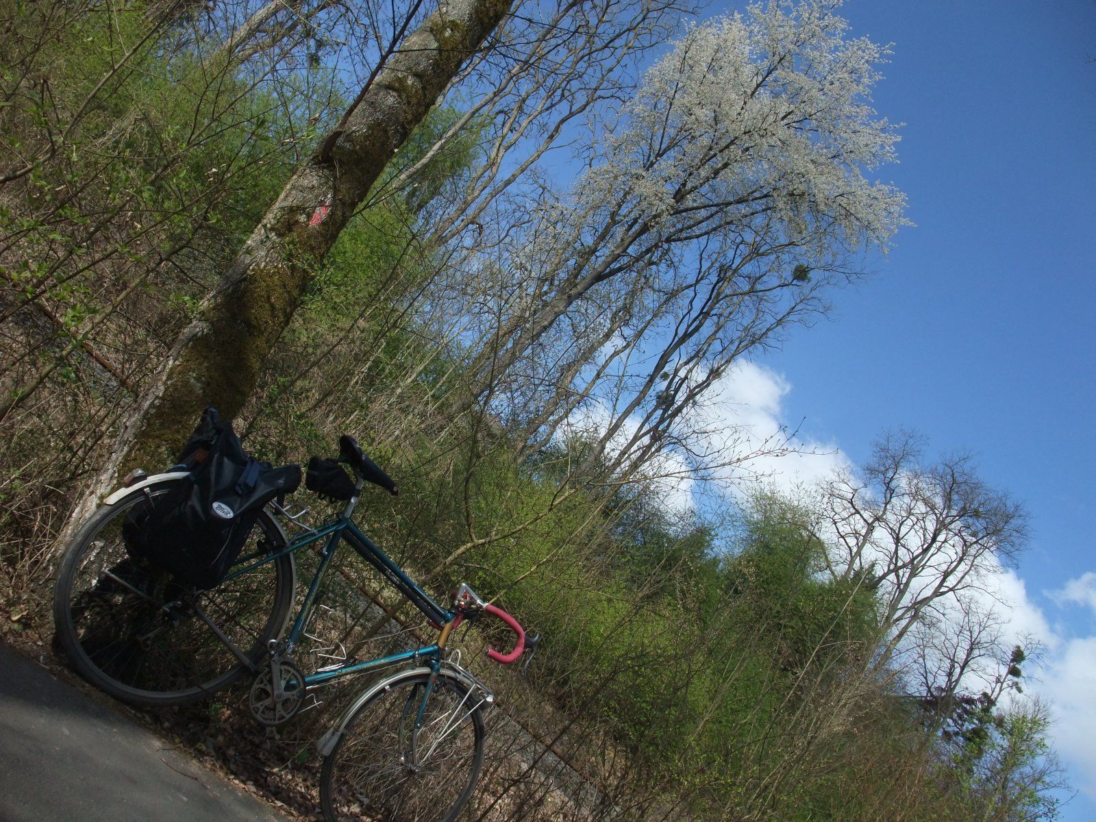 DSCF9631.JPG