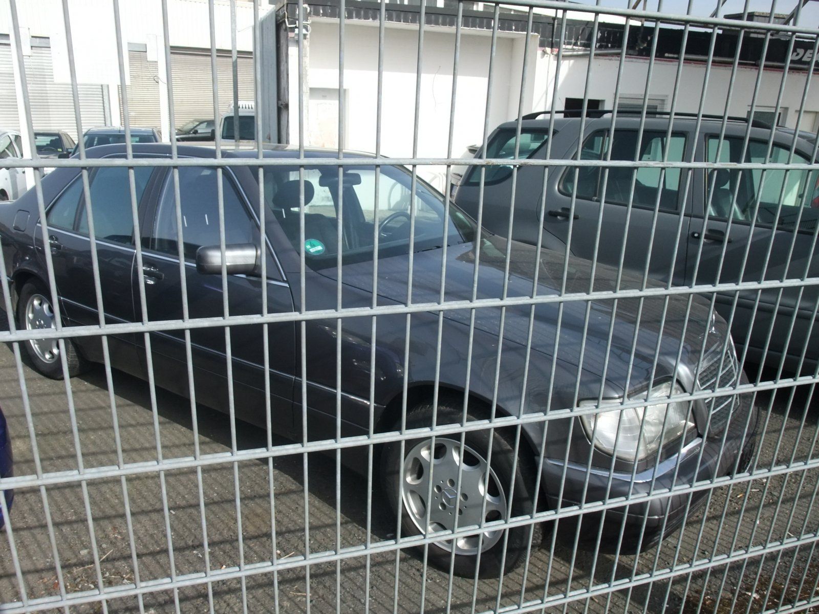DSCF9725.JPG