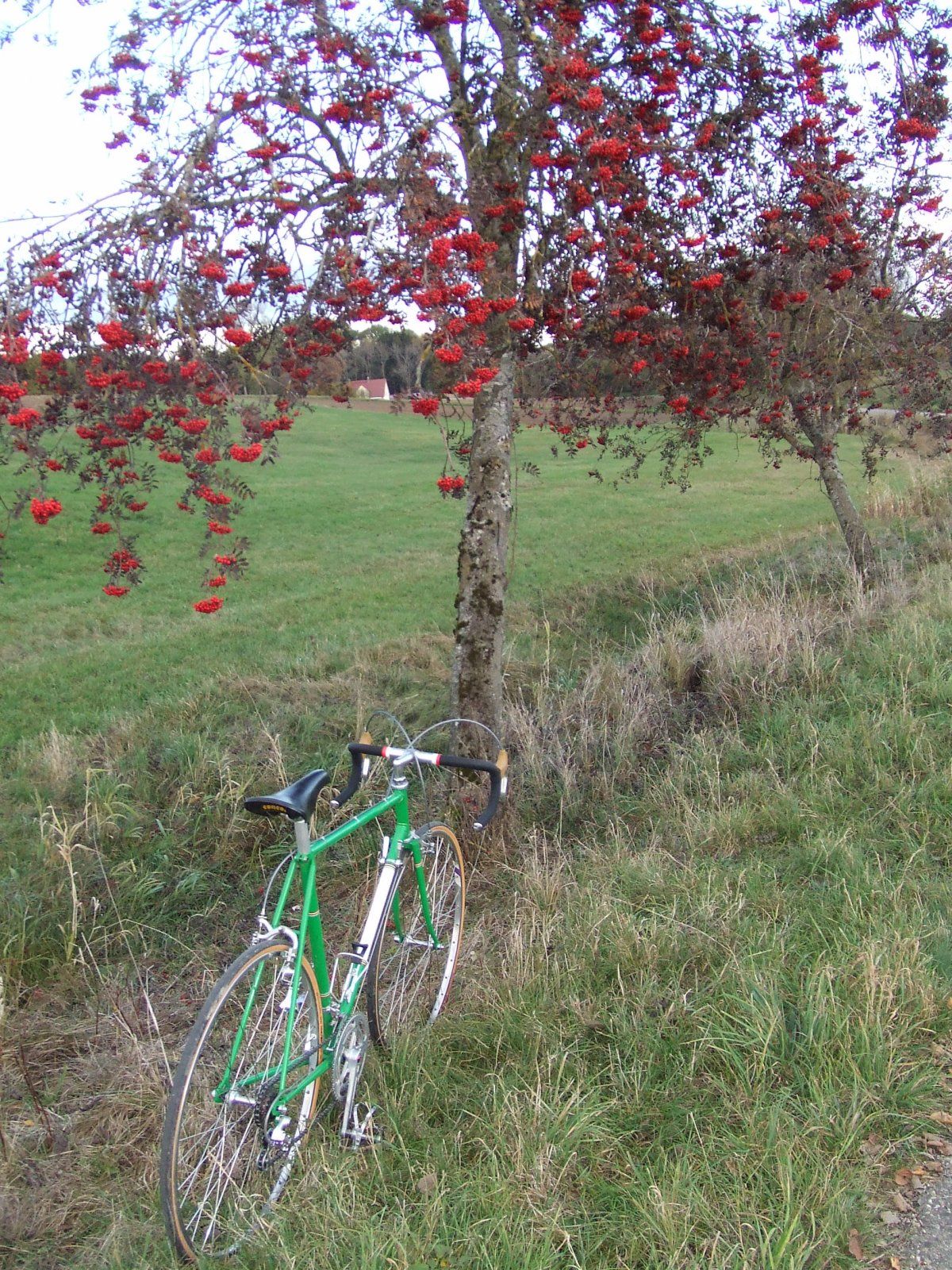 DSCF9823.JPG