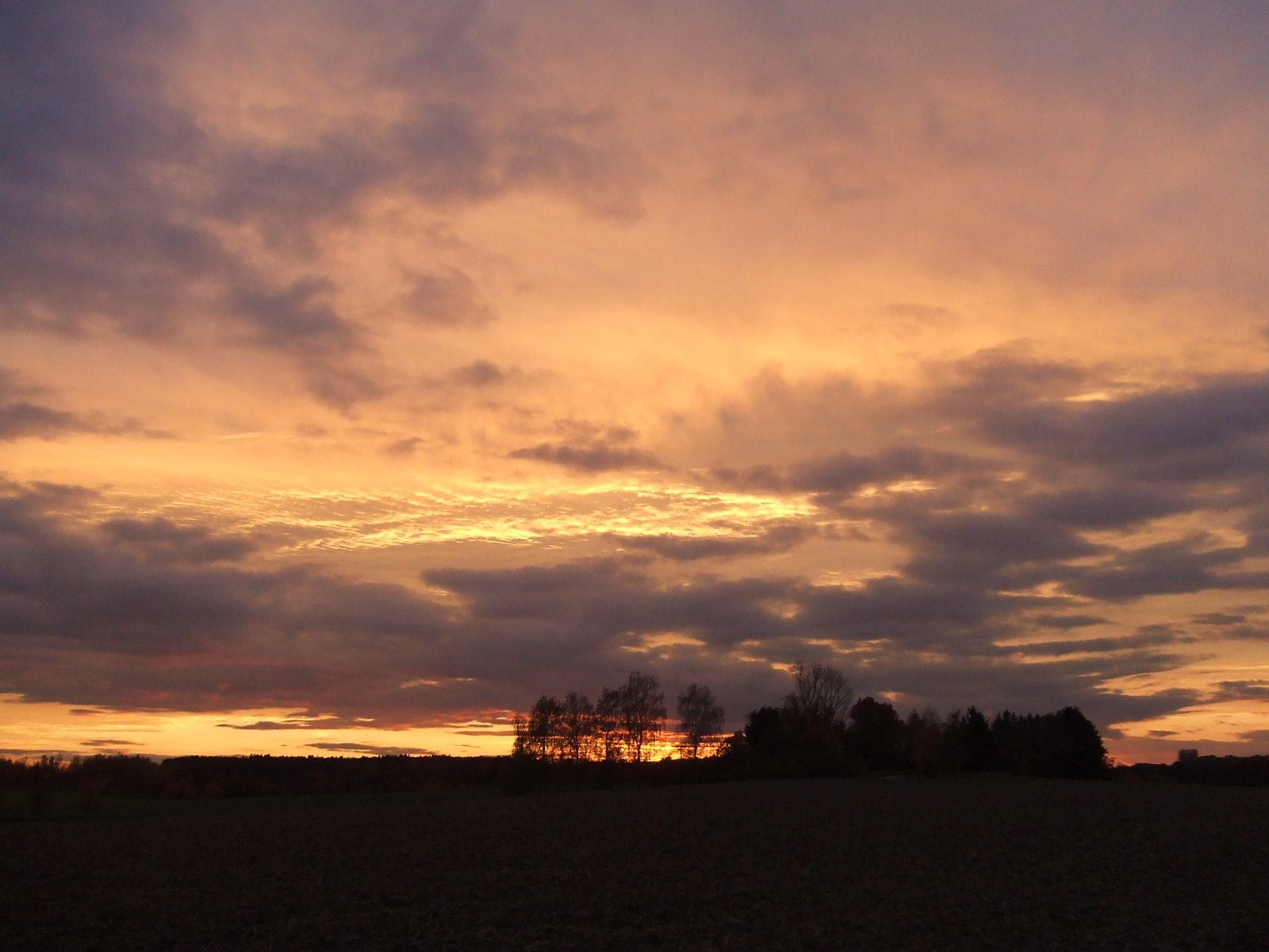 DSCF9859.JPG