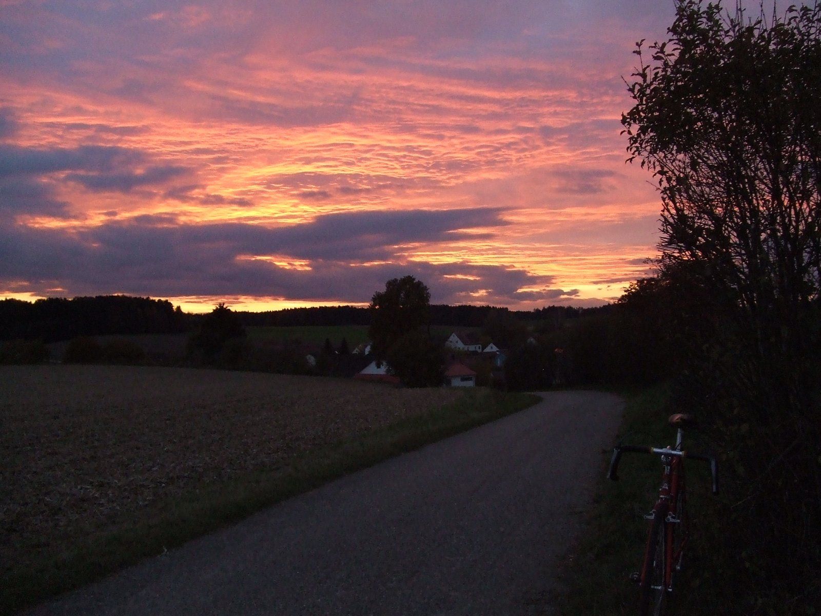 DSCF9862.JPG