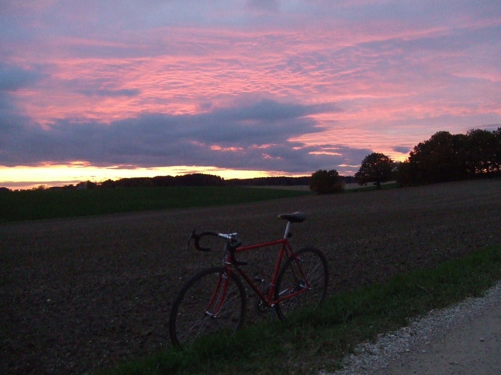 DSCF9863.JPG