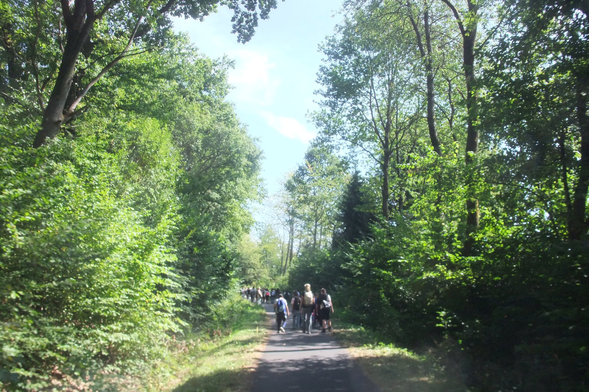 DSCF9931.JPG