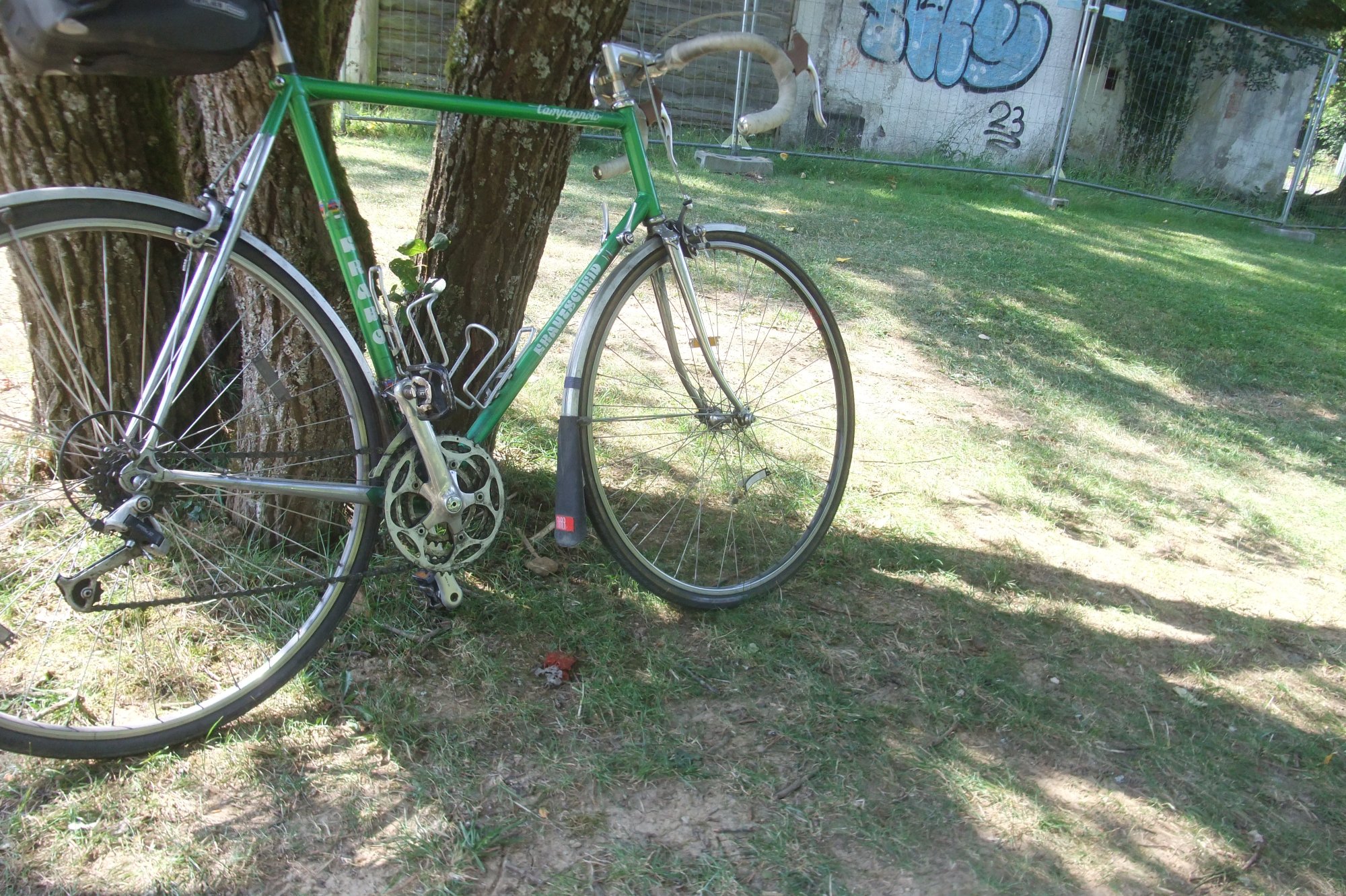DSCF9933.JPG