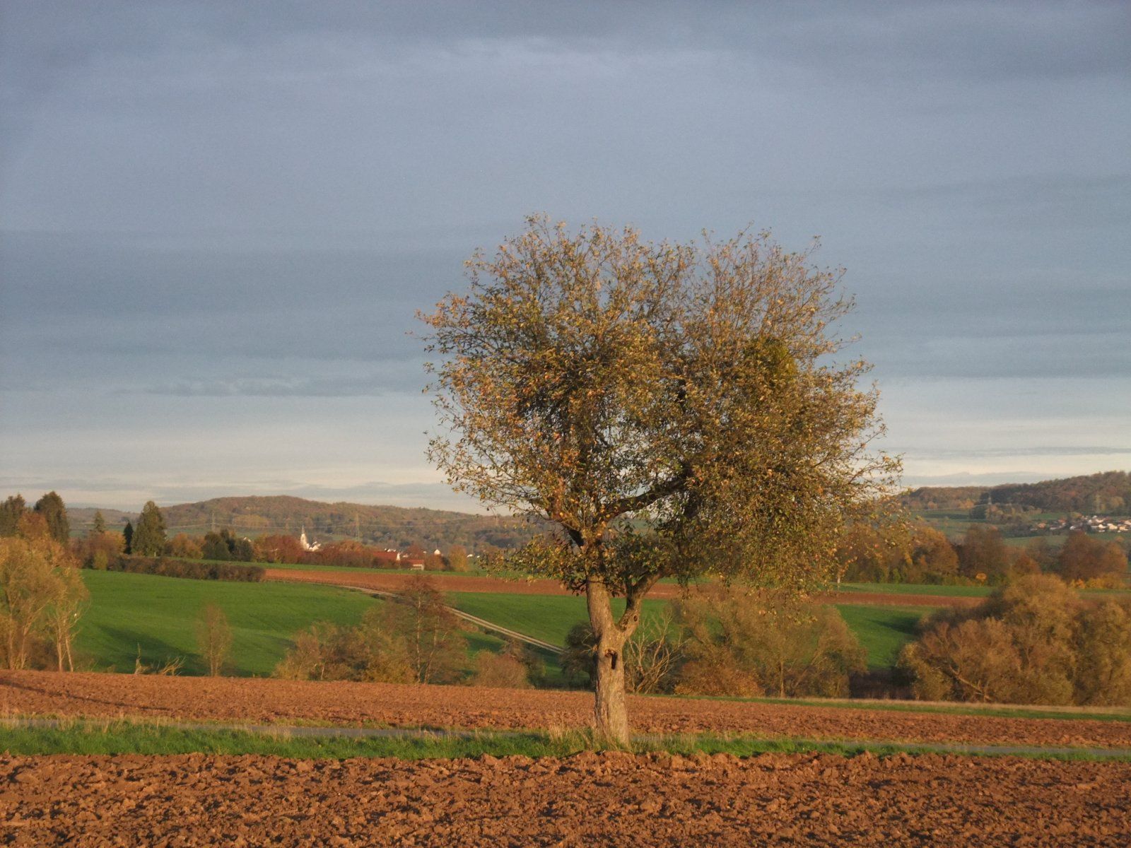 DSCF9934.JPG