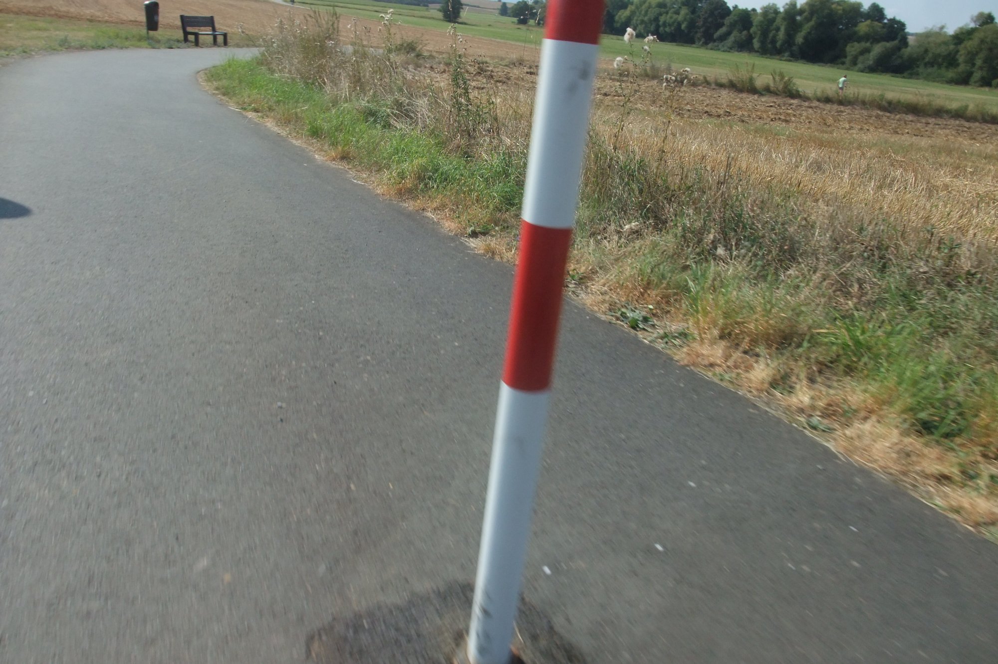 DSCF9953.JPG
