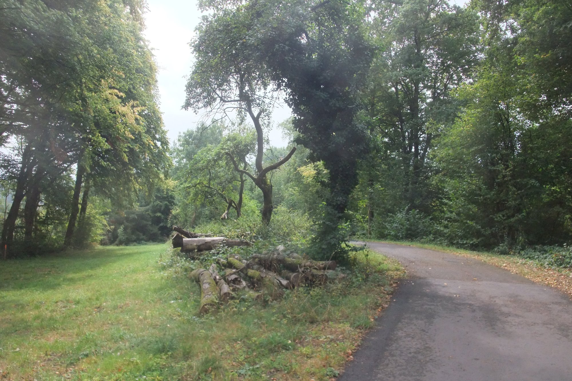 DSCF9984.JPG