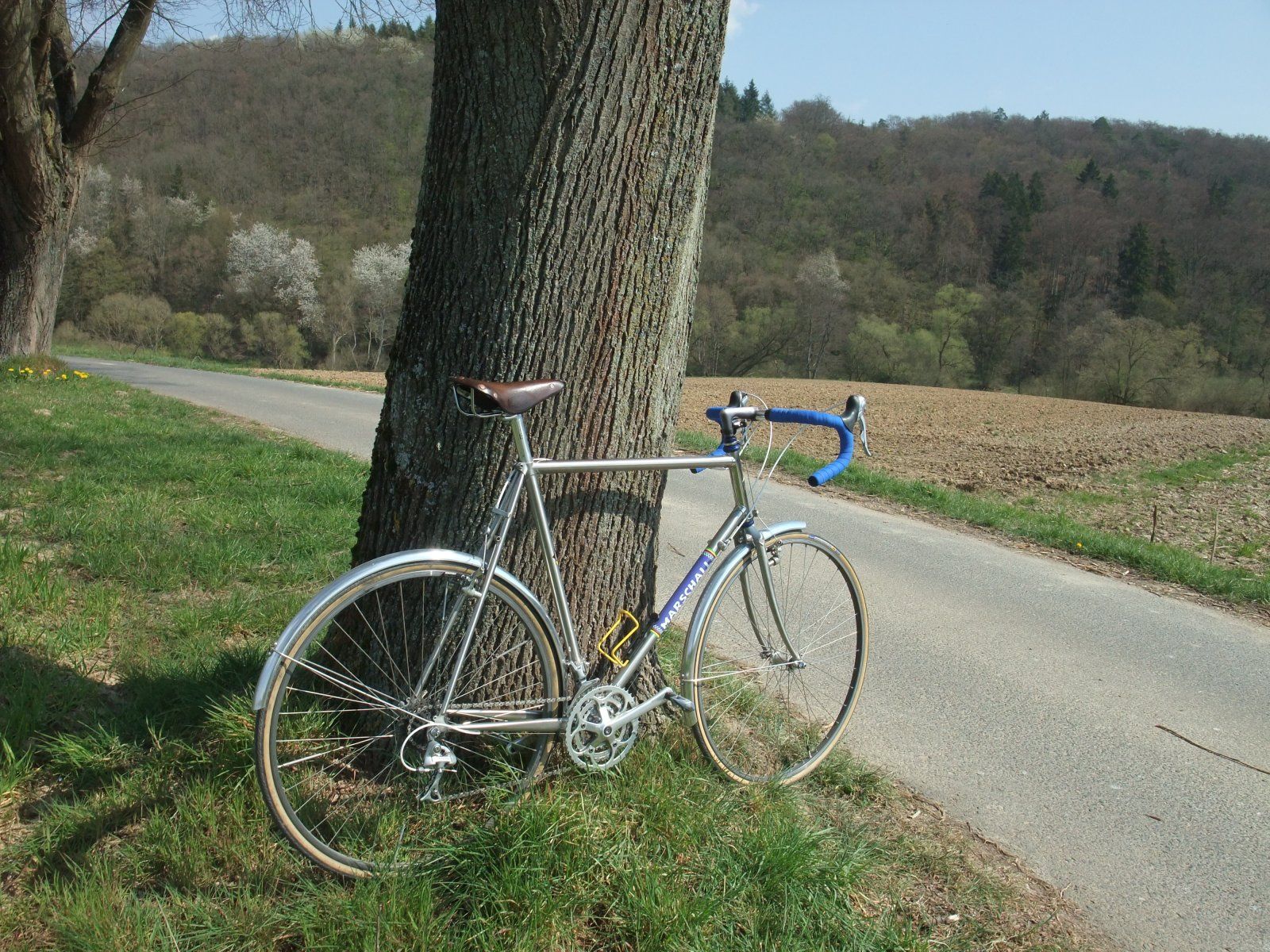 DSCF9992.JPG