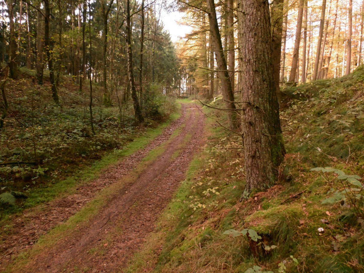 DSCI0008.JPG