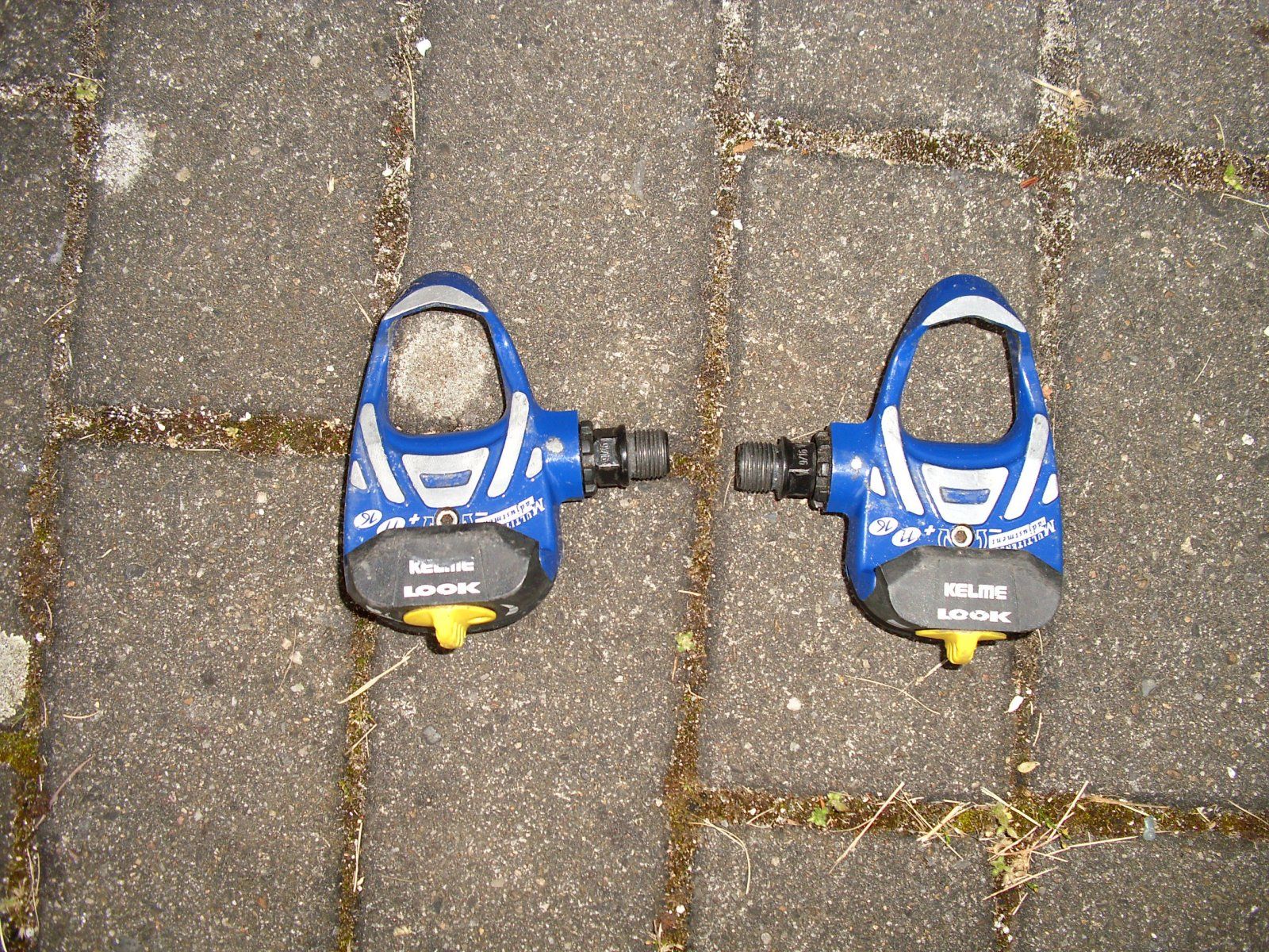DSCI0011.JPG
