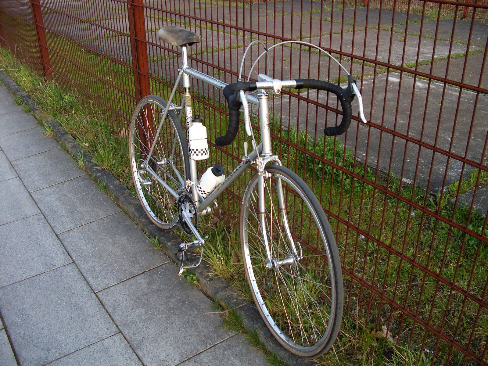 DSCI0019.JPG