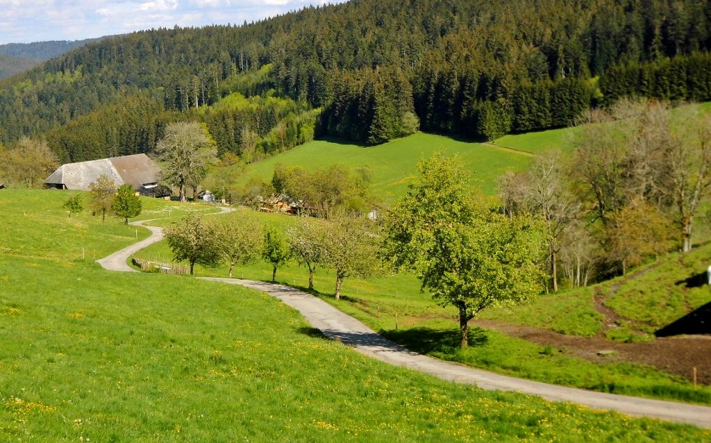 DSCI0027 (4) (1024x638).jpg