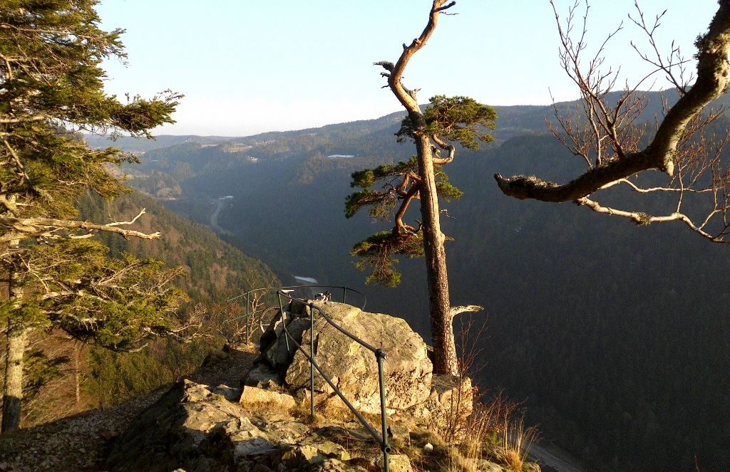 DSCI0034 (1024x663).jpg