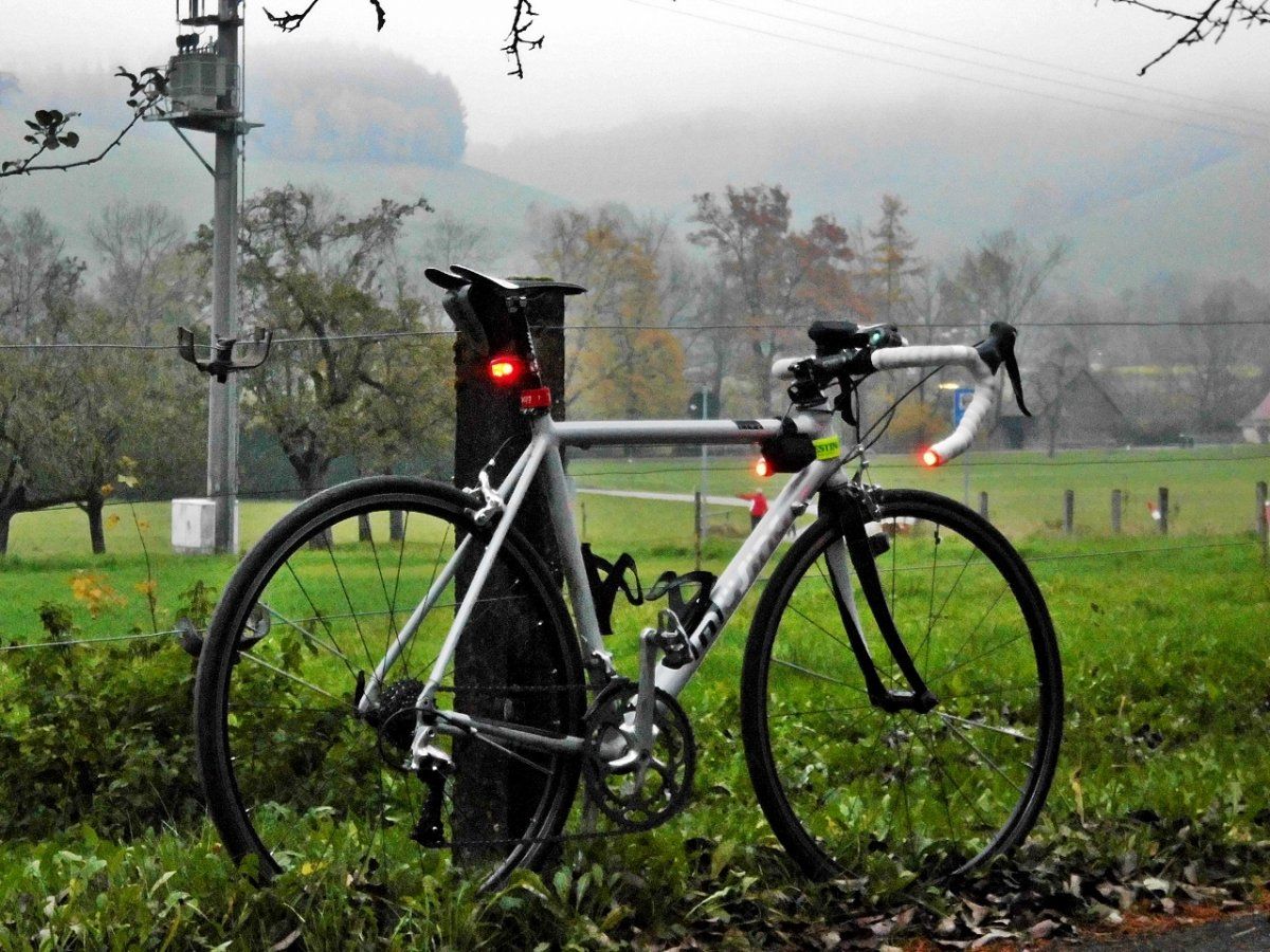 DSCI0085 (1280x960).jpg