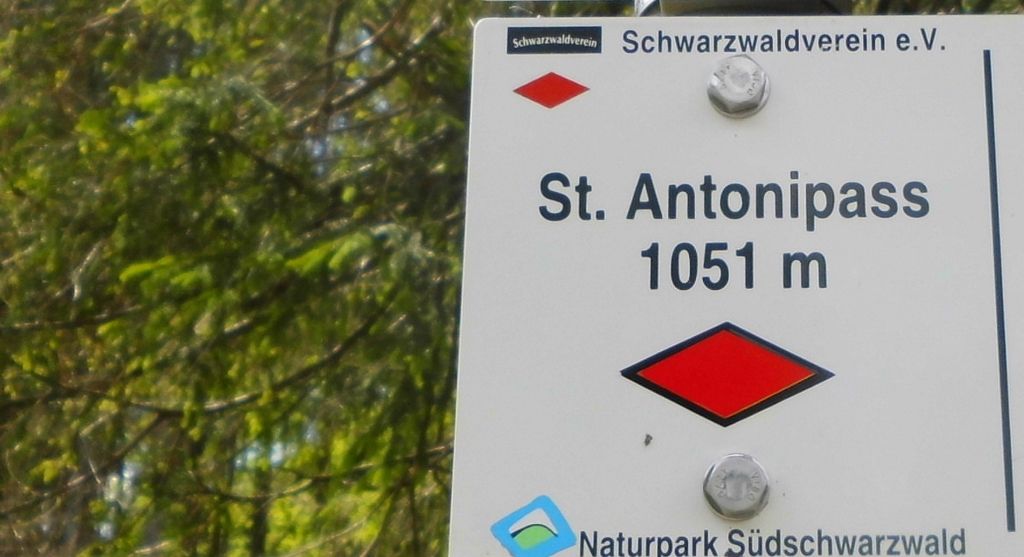 DSCI0087 (3) (1024x557).jpg